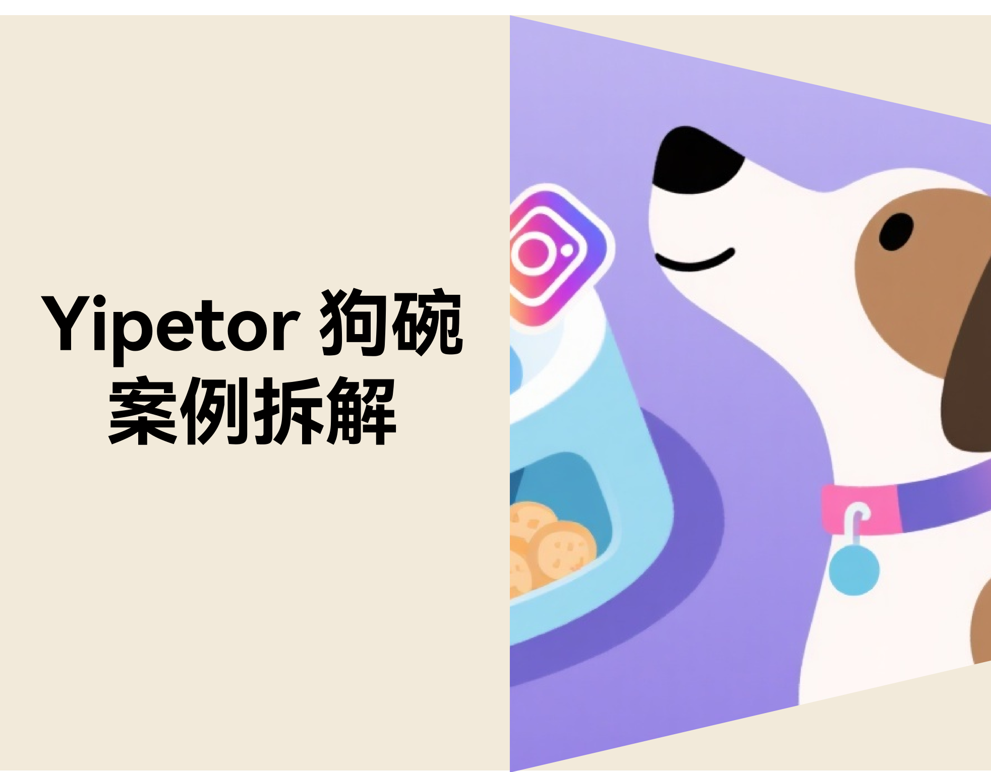 一个狗碗 3个月卖出 93 万美金：Yipetor 如何在 TikTok 做出宠物爆品